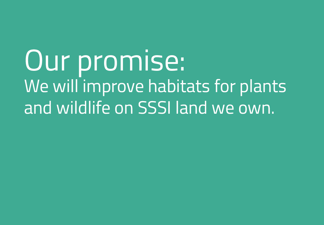 Improving-SSSI-sites-promise